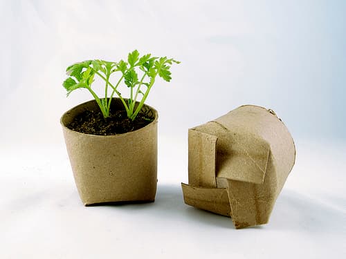 I was way embarrassed when my hubby found my stash of toilet paper rolls under the sink, but this is what I had been planning for them! I did eventually throw them away, though, once it was clear I was not going to do this project anytime soon.