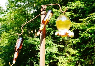 I have three hummingbird feeders: a regular one, plus two homemade ones. I also made the nectar - you don't have to dye it with red food coloring - the red in the feeder lets the hummingbirds know to feed from it.