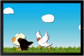 How To Stop Running Around Like A Chicken With Its Head Cut Off - HubPages