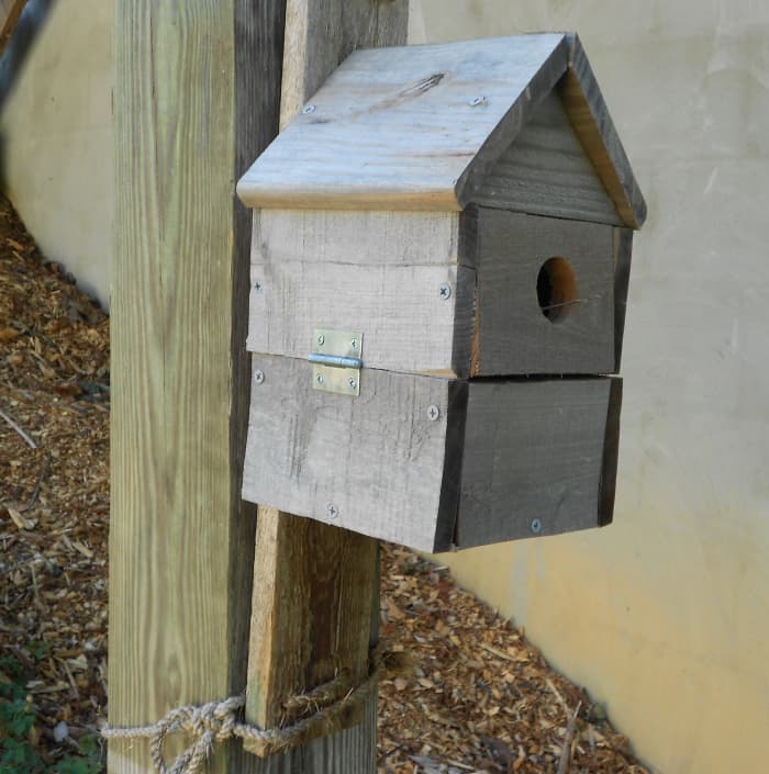 This bluebird house is easy to build from reclaimed pallet wood. This one is a mix of yellow pine and red oak.