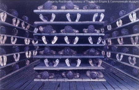 Slave ships were packed very tightly because enslaved Africans were not viewed as people, they were regarded as chattel; men were chained and women were not, because the slave traders wanted easy access to women. This is for the Howard Thurman story