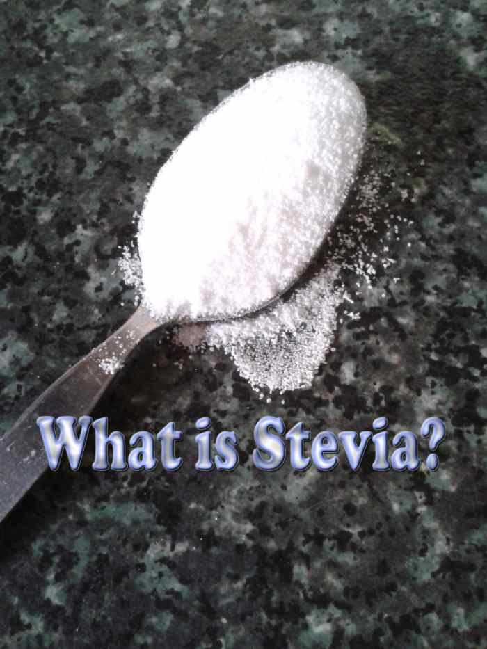 Information About Stevia A Natural Herbal Alternative to Saccharine