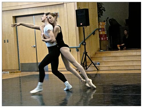 You can STILL keep the black or solid-colored, ballet cut leotards over pink tights in ballet and welcome bra tops in most other types of dance in your studios.