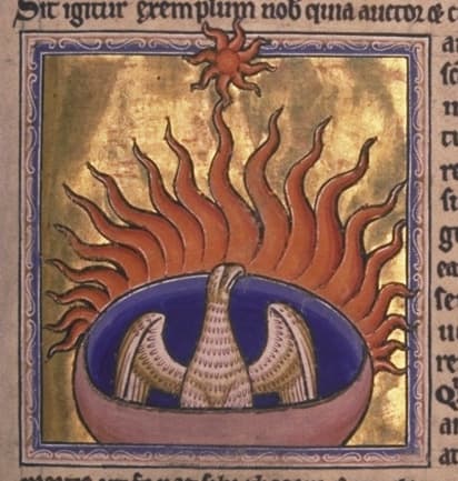 The phoenix is a mythical bird which bursts into flames and is reborn from its own ashes. It's often used as a symbol of renewal and rebirth.
