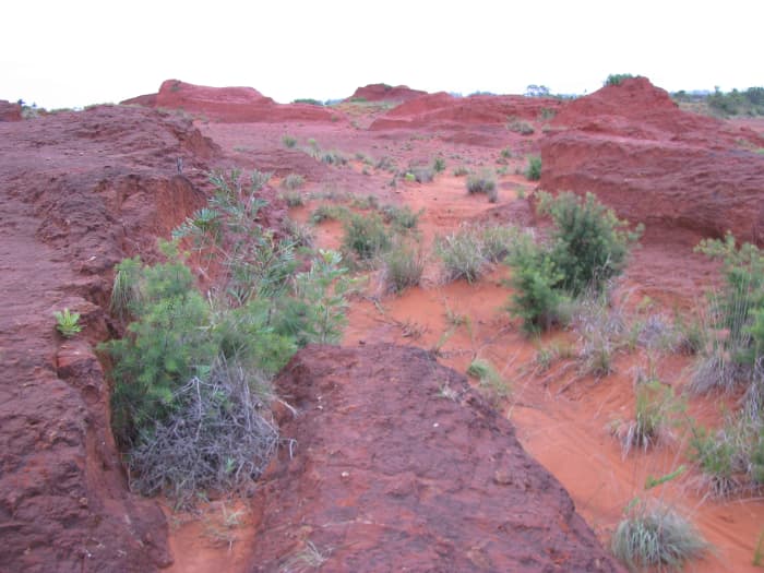 The world Betty Andreasson was taken to may have resembled this small patch of Earth.