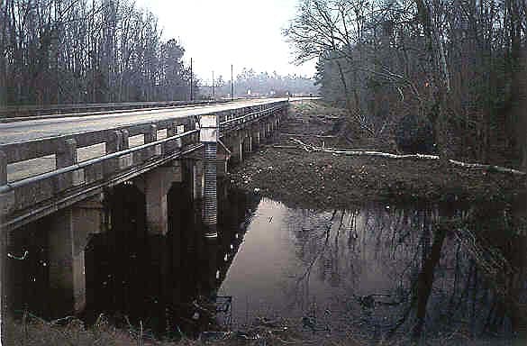 The Lizard Man Of Lee County also known as the Lizard Man of Scape Ore Swamp lives in the swamp shown in the photo.