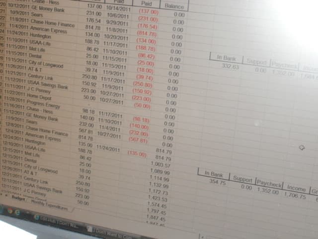 Spreadsheets, debits and credits. Try doing this day in and day out on a 13" monitor with an antiquated OS.