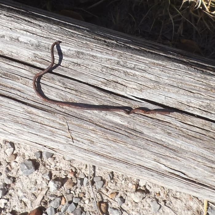 What is it? Just a twisted, rusty piece of wire that I found while I was out for a walk. What can it be? How about a smile on a pumpkin or bend it some more to make something else.