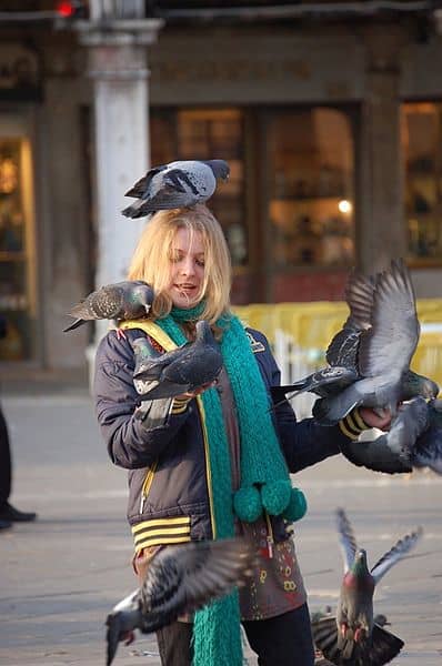 A tourist with pigeons in Piazza San Marco, Venice, Italy