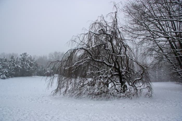 If you are weighed down by grief and sadness over the Christmas holidays, don't be afraid to seek professional support.