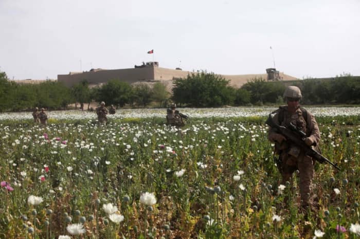 Government propaganda would have us believe that guarding the opium fields is in the best interest of peace.