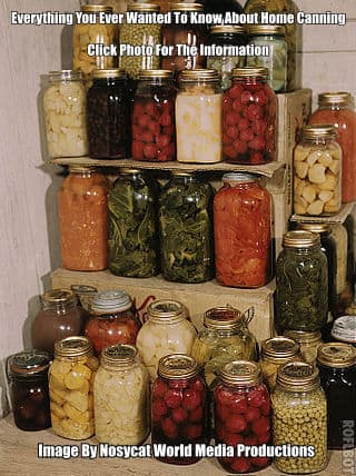 Check out all the delicious canned vegetables above. Anyone can use a pressure canner to cook and prepare their own vegetables.