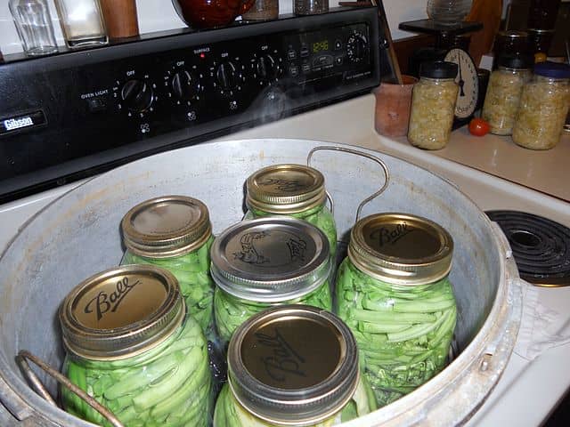 Here we have jars of green beans in the canner ready to be processed. Home canned green beans are so delicious, especially during the cold winter months.