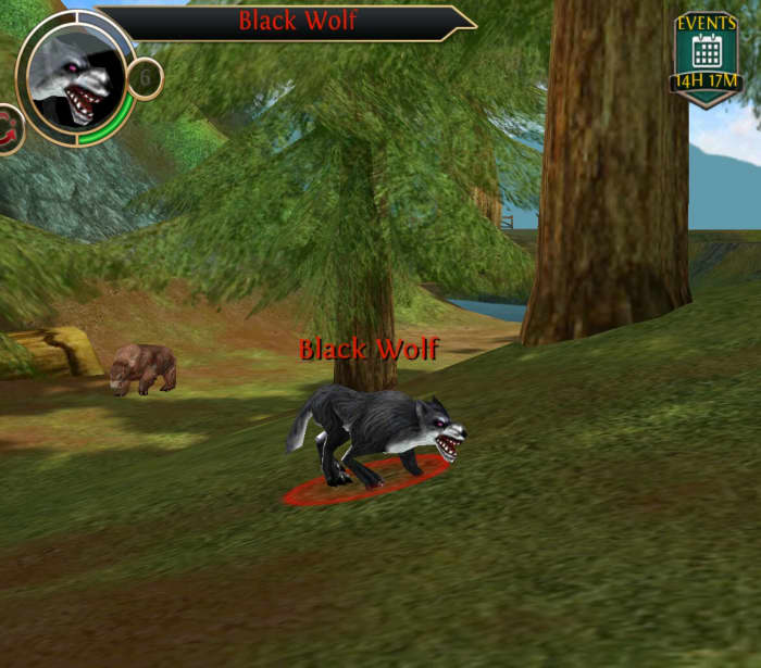 Poor fur also drops from wolves in Order and Chaos Online.