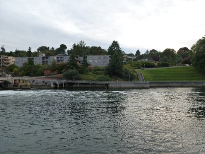 Places To Visit In Seattle: The Ballard Locks - HubPages