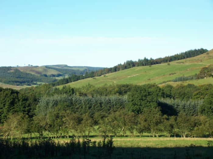 The western end of Benarty Hill and Wood. The likely area of Benarty around which Queen Mary made her escape from Loch Leven.