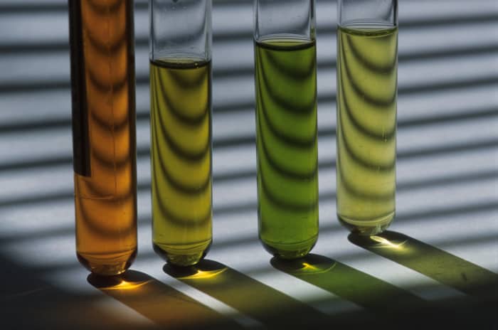 Pool Chemistry Made Easy with Lamotte ColorQ Pro 7