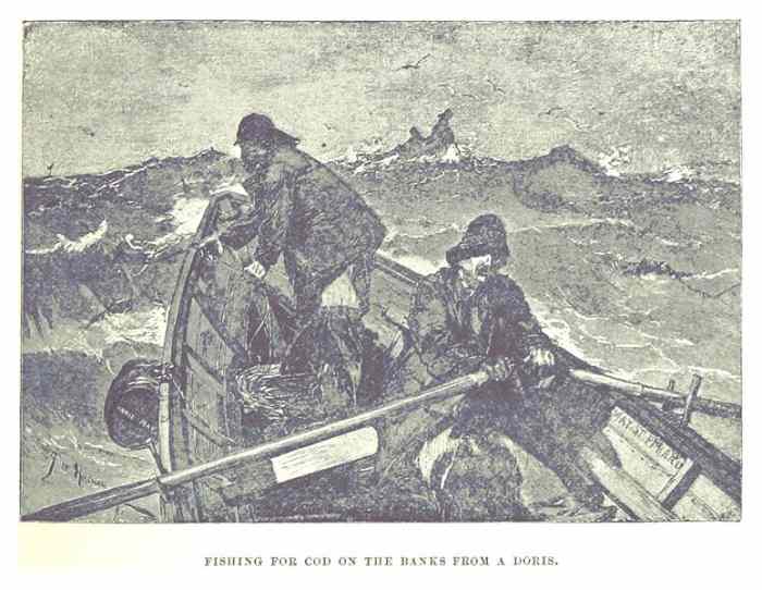 Traditionally cod were caught from an open dory. It was a very dangerous occupation.