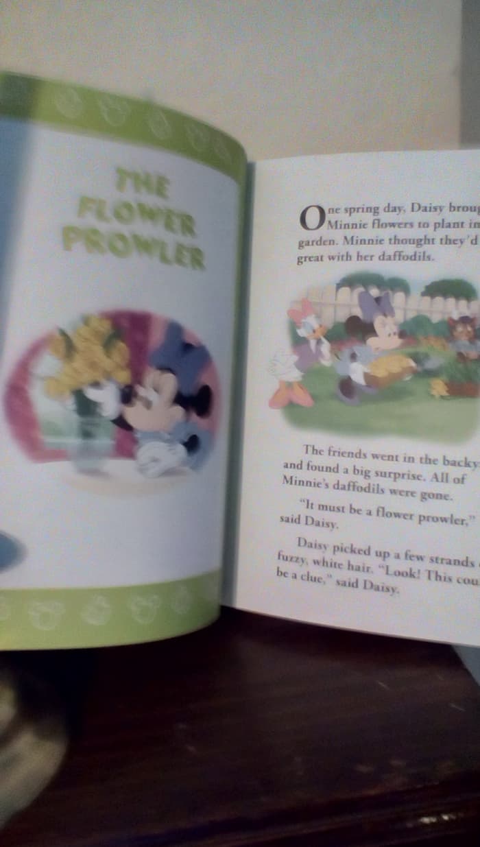 Fun story with familiar characters Minnie Mouse and daisy Duck