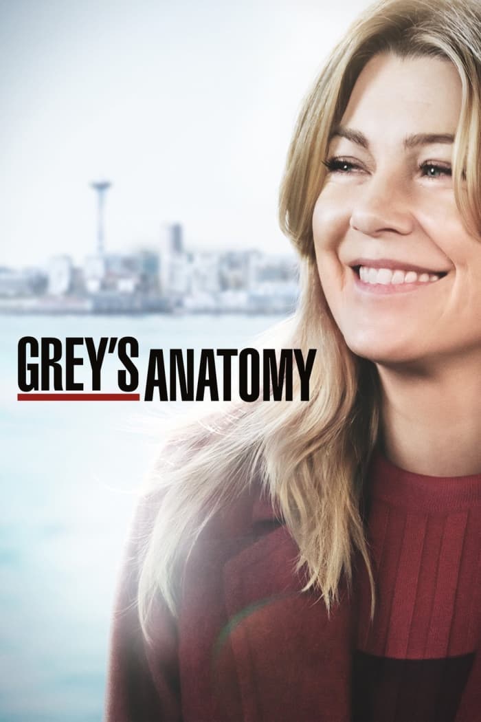 shows like grey's anatomy on netflix