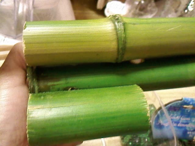 The last three pieces of bamboo connected together by a straw. And they stand on their own so I don't have to worry about that.