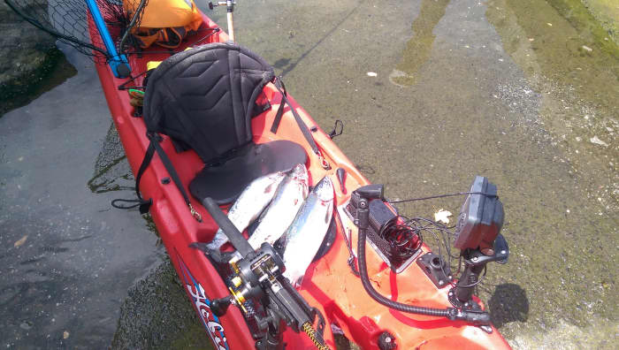That's me with a kayak full of pink salmon! Caught while trolling with a diver, flasher, and Silver Horde spoon.