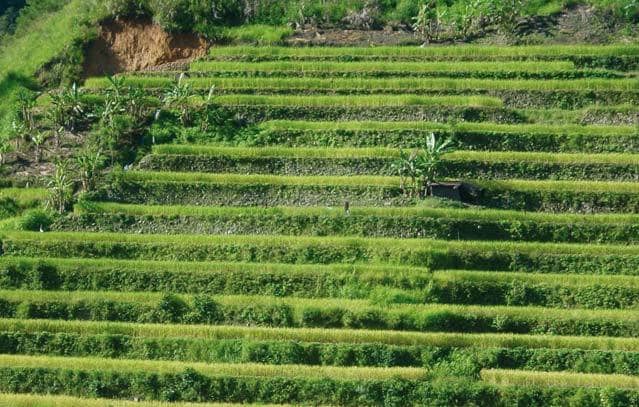 Local knowledge is vital in designing effective and appropriate solutions. It is vital to give local land users a forum to share their knowledge with other farmers and specialists