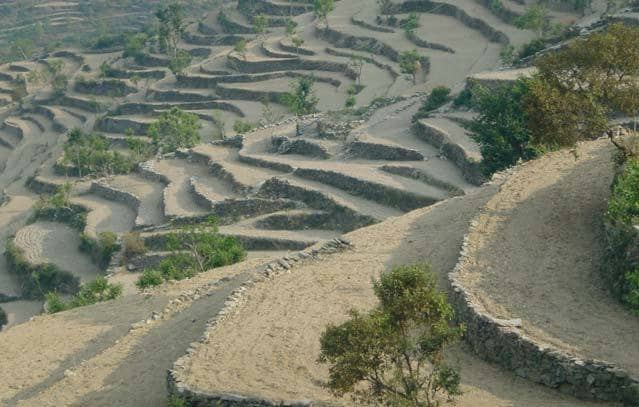 As is the case with technologies, there are no `one-size fits Some drivers of conservation at times have little to do with all' solutions to approaches. But there are common reasons, especially economic factors: also, people's knowledge & creativity