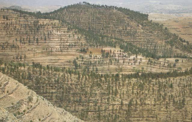 Concerted efforts to standardise documentation and evaluation of SWC Worldwide, there are numerous positive experiences derived technologies and approaches are needed and fully justified, especially in from investments in soil and water conservation