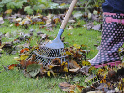 Small city lots, few trees... and raking is a pleasant sunny day chore. Anything more than that and you will be happy you purchased that lawn vac.