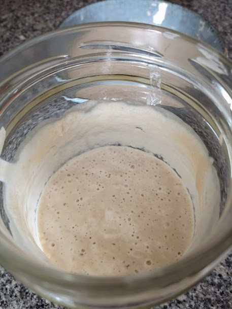 Starter should show signs of life