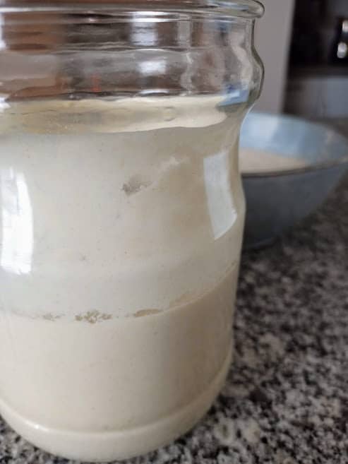 Sourdough Starter and Leaven - Delishably