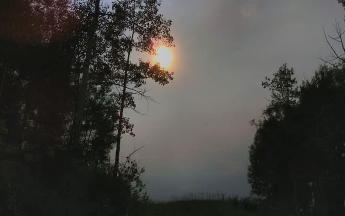 Finding a person with a compassionate soul is like feeling the warmth of the sun through cold winter clouds.