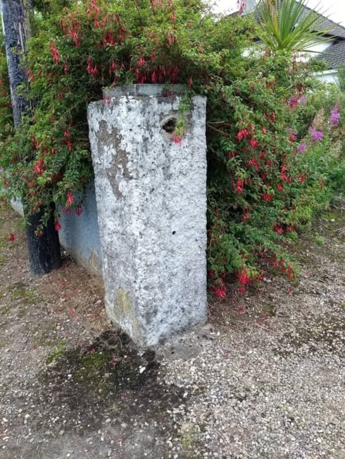 Pier, pre-demolition. The nice fuchsia bush had to be removed, but luckily I had planted another one behind it years ago because I knew I would eventually be widening the entrance!