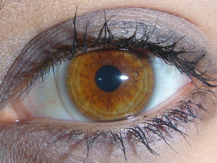 Very light brown or amber colored eye.
