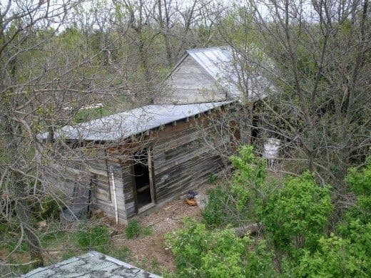 Ash trees and Belle honeysuckle bushes surround the house and several outbuildings, insulating the farmstead against not only wind, but sudden changes in temperature.