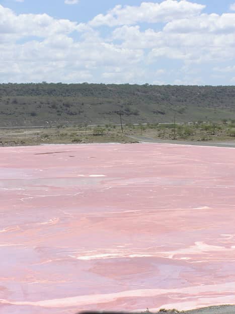 Lake Magadi is located in Kenya. The lake is a refuge for flamingos and is mined for sodium carbonate, or washing soda.