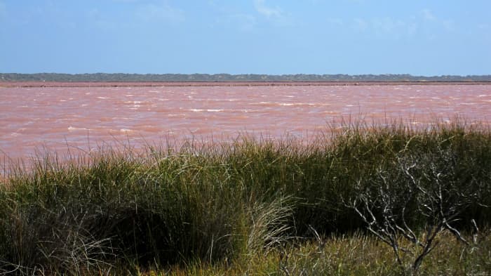 Hutt Lagoon is located in Western Australia and has pink water.