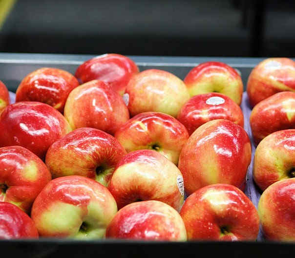 Health Benefits of Apples: Boosts Immunity and Enhances Brain Power