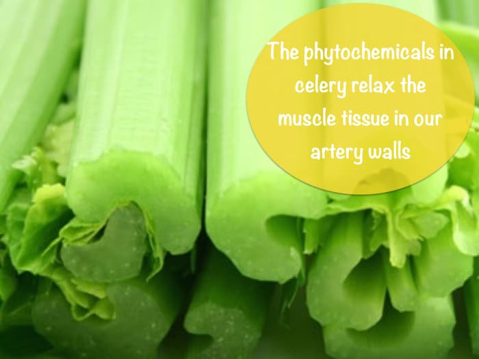 The phytochemicals in celery promote increased blood flow and a lowering of blood pressure.
