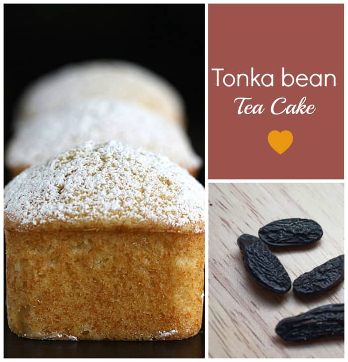 In some countries, the Tonka bean is used as flavouring in the culinary world for puddings, smoothies, cakes and other desserts. Featured here is a Tonka bean Tea Cake. (Image edited by healthmunsta.)