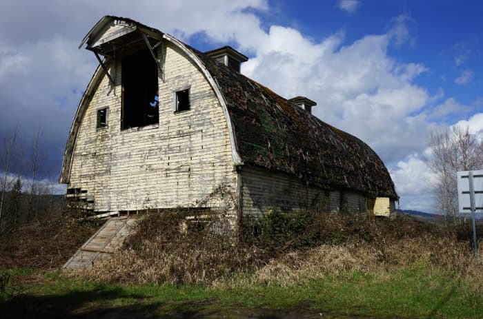 Built during the Depression of the 1930's from a Sears & Roebuck barn catalogue and featuring a popular gothic style roof, the Thayer Barn is one of the last remaining dairy barns standing within the City of Duvall in the Snoqualmie River Valley.