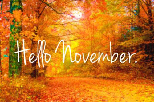 interesting-things-about-the-month-of-november-hubpages