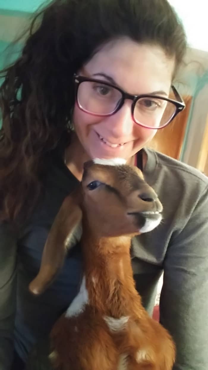 Cain was a bottle baby goat I was raising at the time I had the accident. He became my emotional support animal. The sweetest little goat ever.
