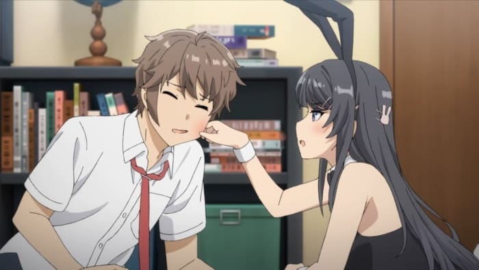 Seishun Buta Yarou wa Bunny Girl Senpai no Yume wo Minai (Rascal Does Not Dream of Bunny Girl Senpai)