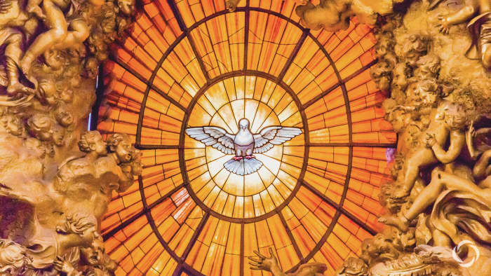 In the Roman Catholic church, people already believe in The Holy Spirit. In this photo the Holy Spirit is represented from a dove. But in reality The Holy Spirit can be said to be everywhere in the universe and represents God spiritual powers.