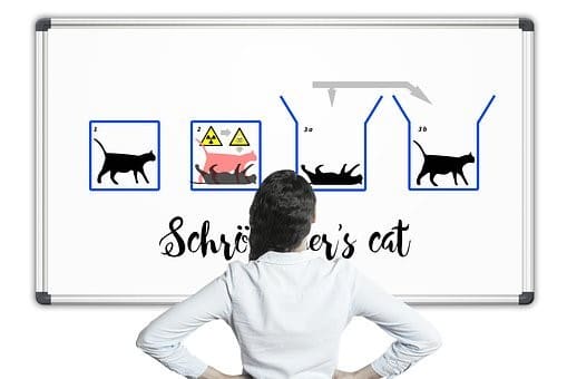 Schrodinger's cat. Both alive and dead at the same time—at least until the box is opened and the cat viewed.