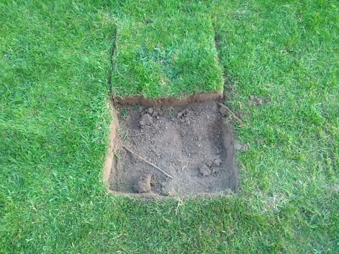 First I removed the sods and kept them damp in a shaded location so I could replace them. I started digging in mid-summer during a drought. Soil was really dry.