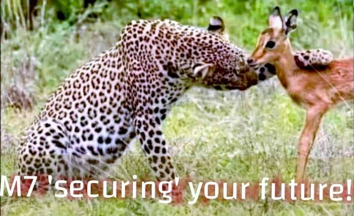 Corrupt Dictators never secure countries futures. Actually none has ever secured a future by destroying the past and killing the present