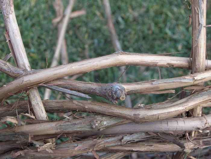 How to Make a Grapevine Basket Photo Guide